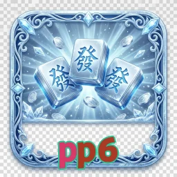 pp6